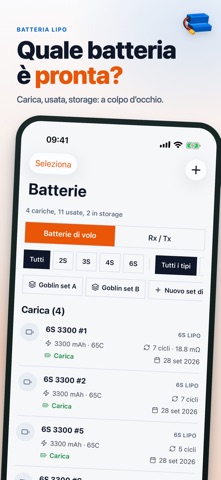 RC Flight Log: Batterie LiPo screenshot 2