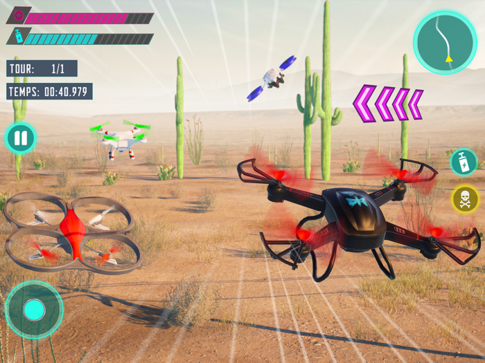 Flying Drone Race Simulator