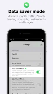 Orion Browser by Kagi screenshot 4