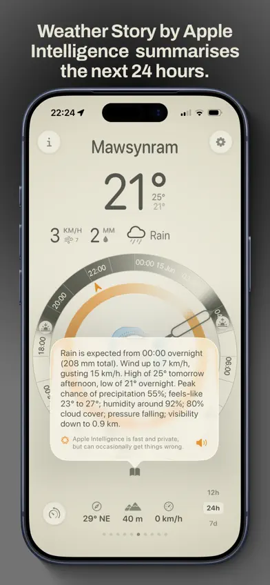 Southerly screenshot 4
