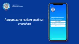Проверка чеков ФНС России айфон картинки 1