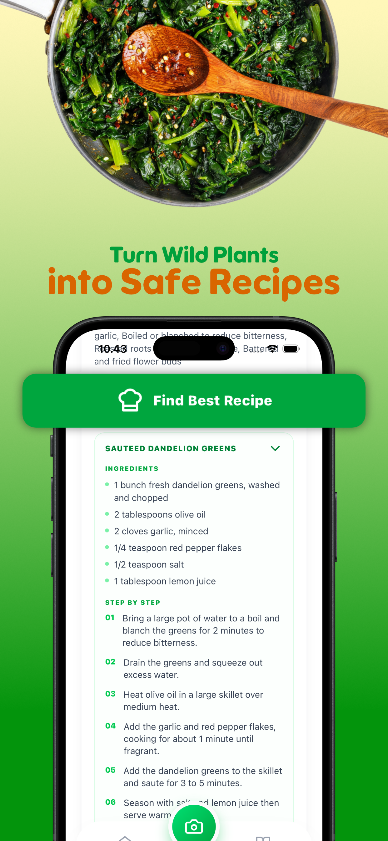 Edible Plant Identifier
