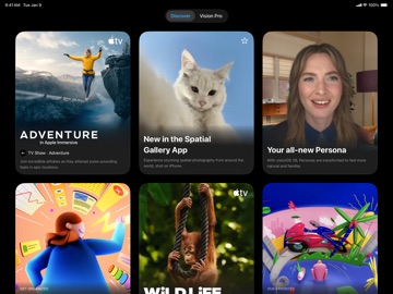 Apple Vision Pro screenshot