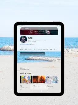SkeletonBrowser screenshot 8