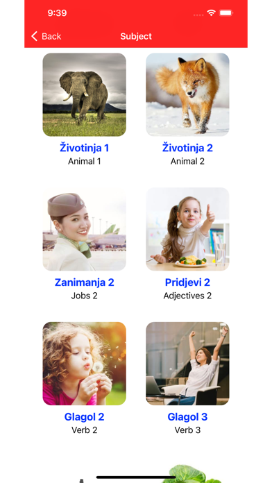 Learn Croatian Vocabulary