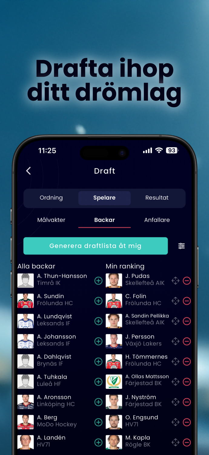 Fantasy Hockey League