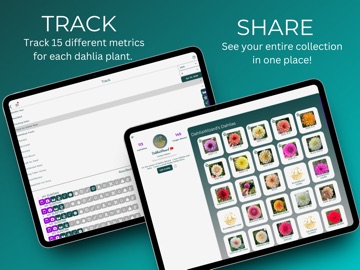 Dahlia Wizard - Plan & Trade iPad screenshot