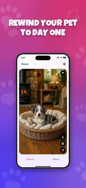 Fluffball - puppies & kittens screenshot 2