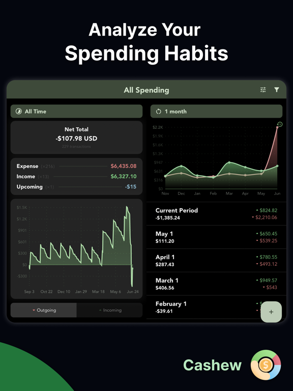 Cashew—Expense Budget Tracker iPad screenshot 5 - Finance app