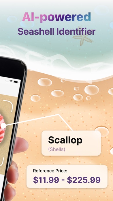 Conchology Identifier Screenshot