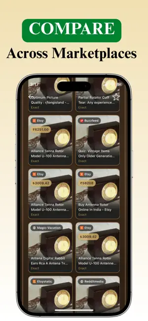 Antique Identifier: VintSnap screenshot 4