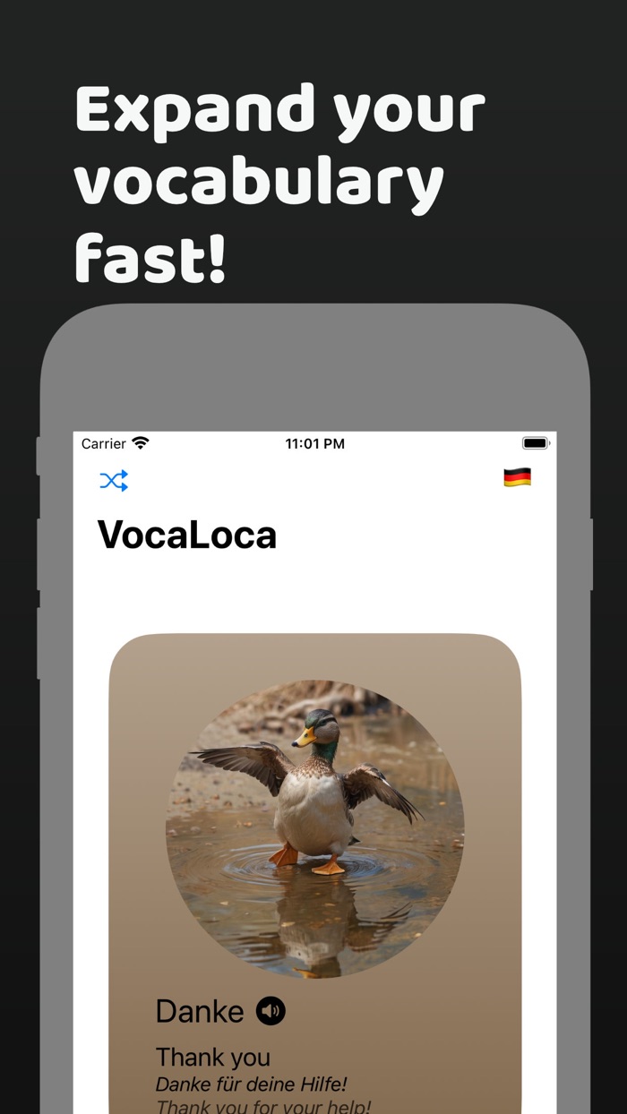 VocaLoca - Learn new words