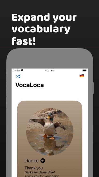 VocaLoca - Learn new words