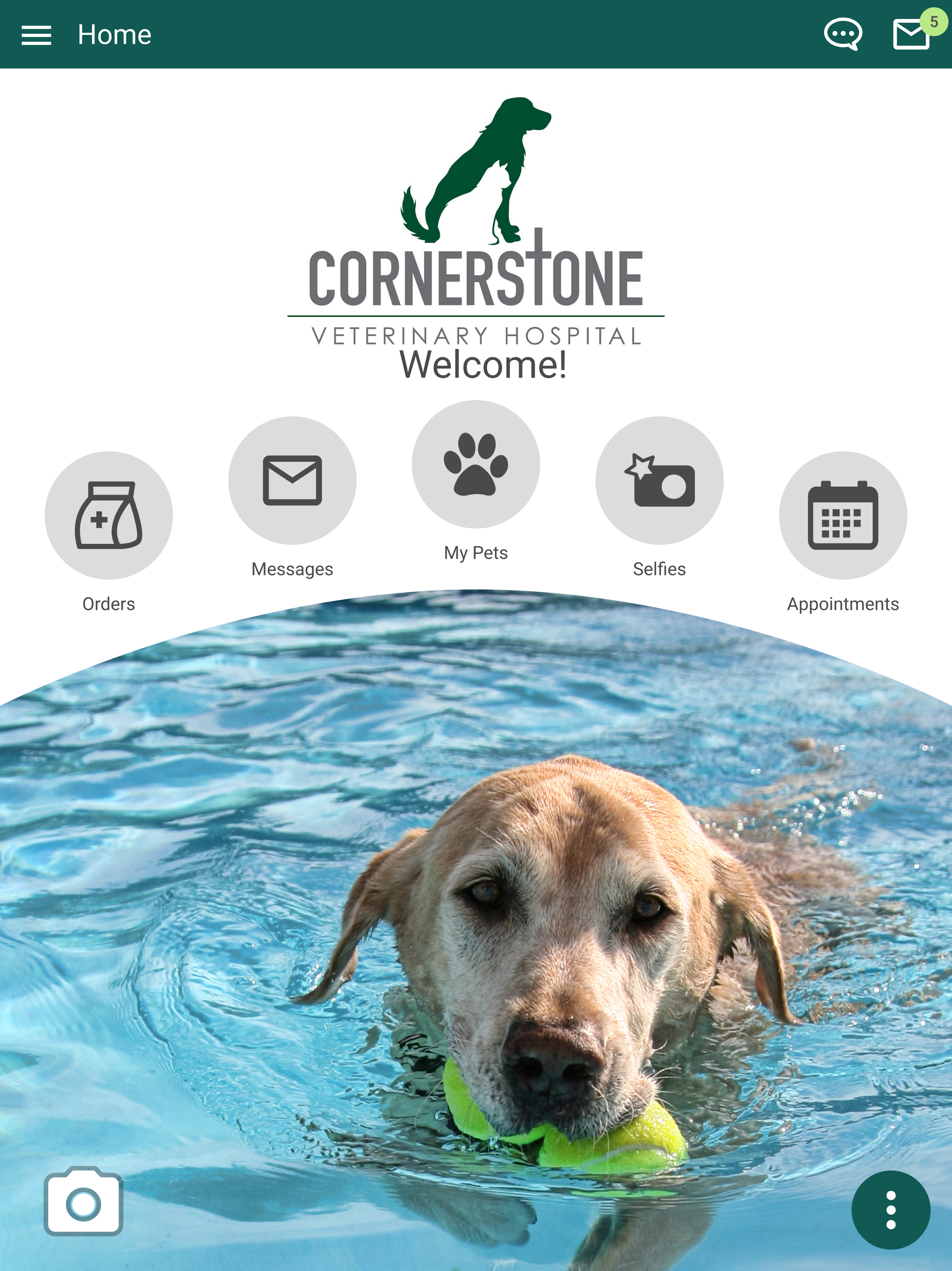 Cornerstone Vet Hospital LA