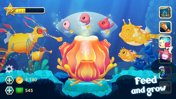 Splash — Fish Aquarium