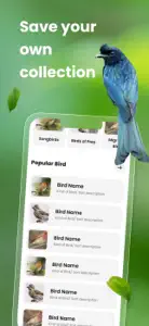 Bird ID: Bird call identifier screenshot #5 for iPhone