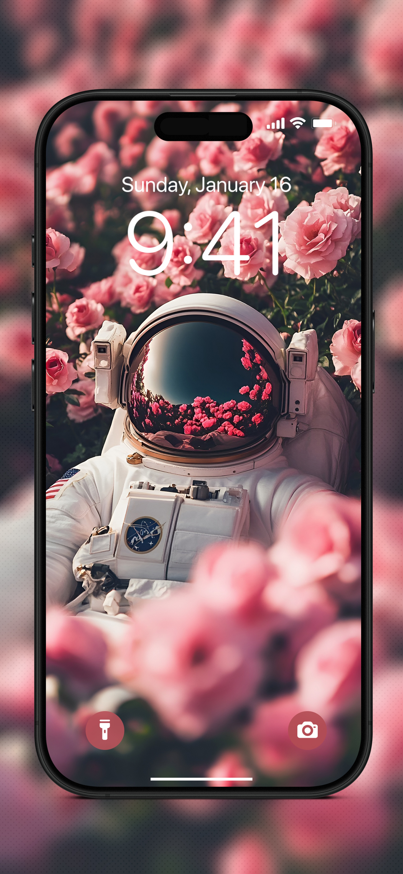 Astronaut Wallpapers screenshot 4