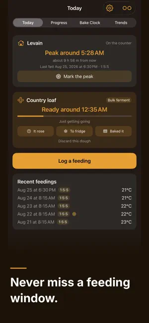 Sourdough Proof & Feeding Log screenshot 3