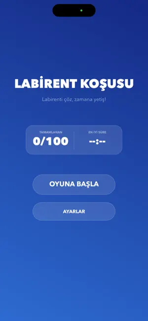 Labirent Koşusu screenshot 2