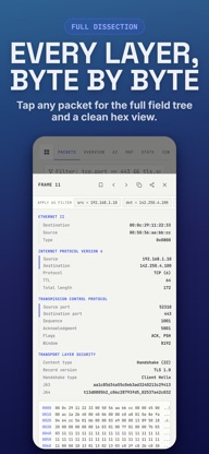 PCAP Analyzer · File Reader screenshot 5