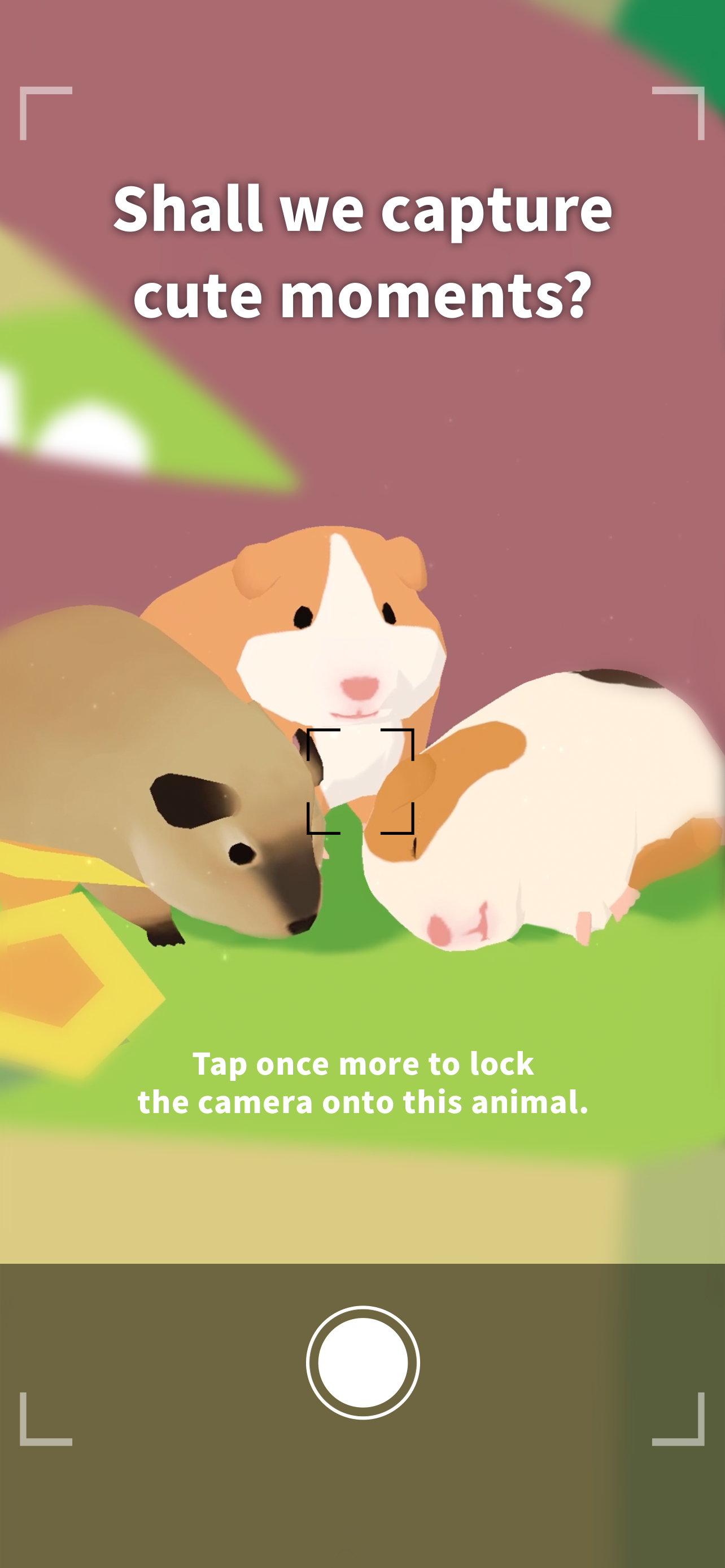 Forest Island screenshot 6