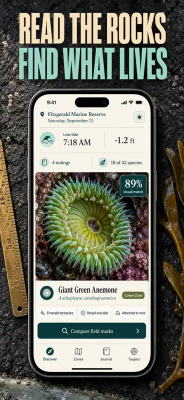 Tide Pool ID: Field Guide screenshot 1 of 10