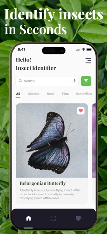 Bug Identifier - Insect,Spider Screenshot 1 of 5