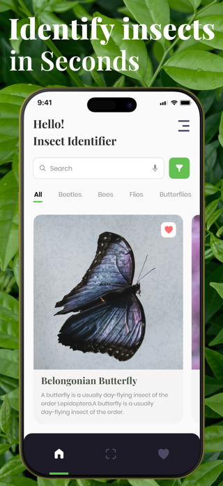 Bug Identifier - Insect,Spider Screenshot 1 of 5