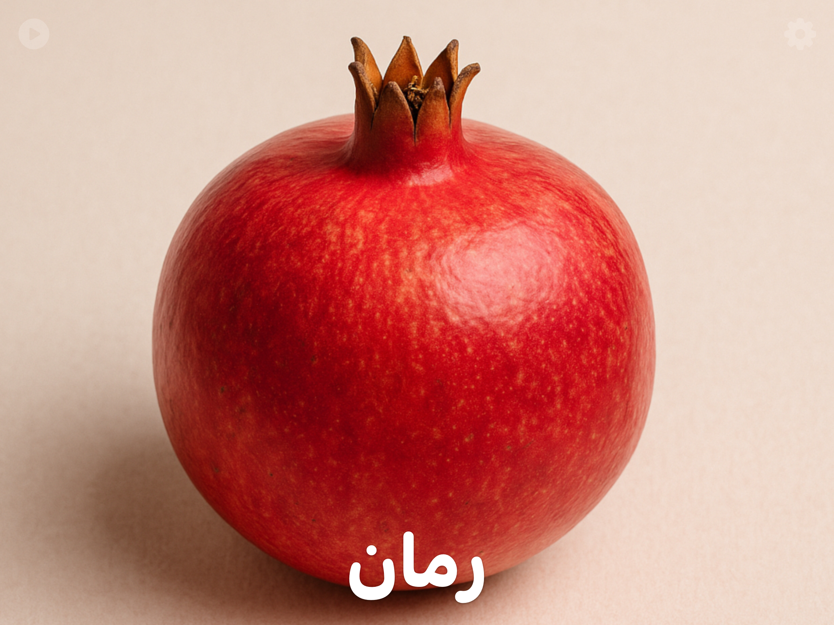 TOmaTO Mini: Fruits & Veggies