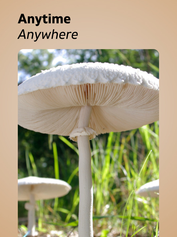 Mushroom Identifier AI iPad screenshot