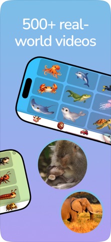 Sensory Book: Toddler videos Screenshot 5 of 6