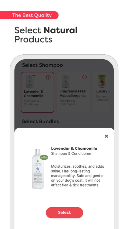 GROOMIT - Pet Care Marketplace screenshot-4