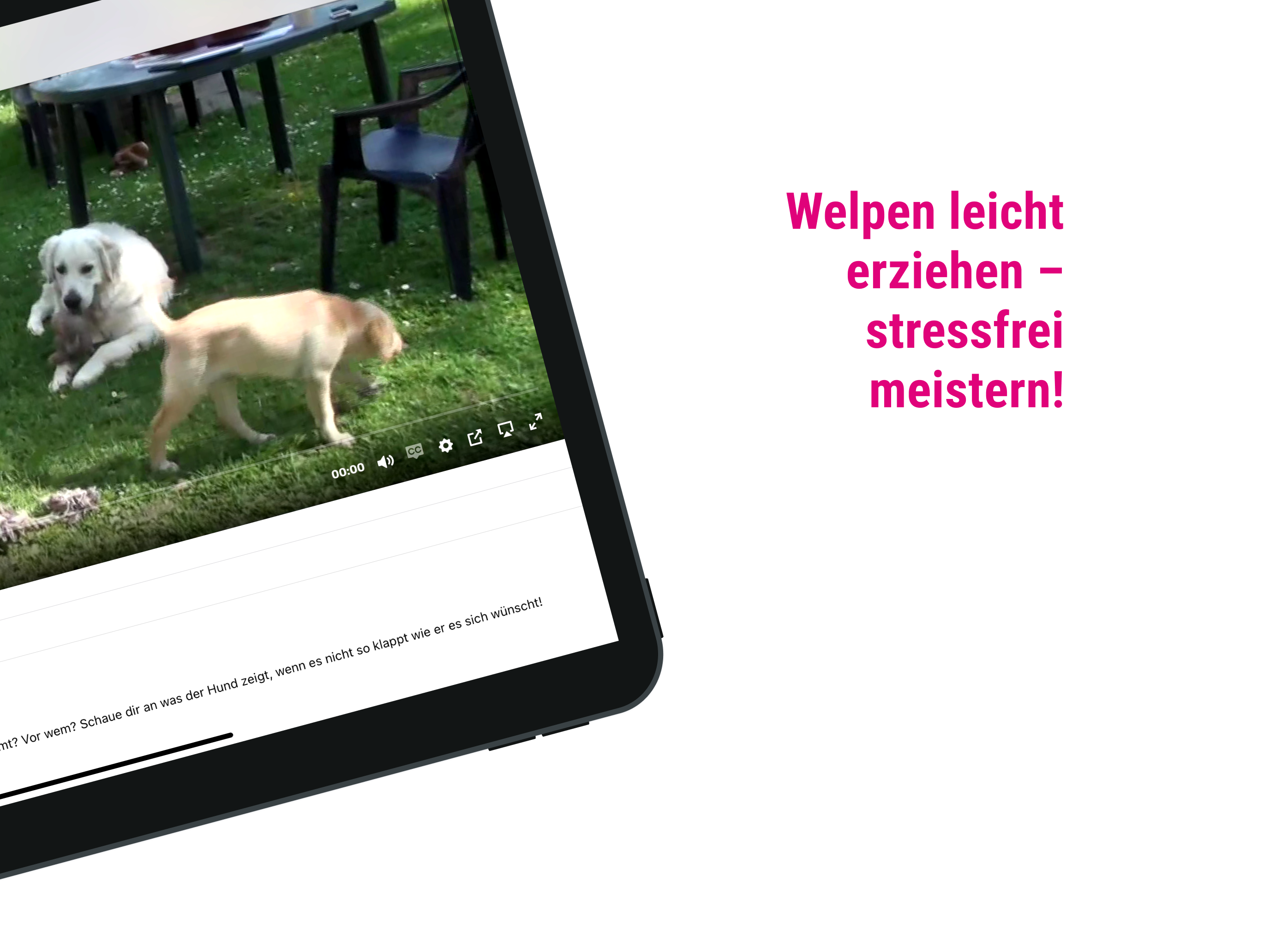 DogDict – Hundelehrvideos screenshot 9