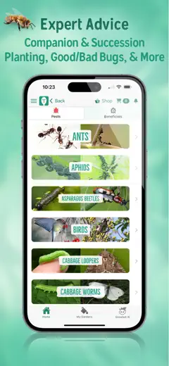 Seed to Spoon : capture d’écran 7 sur 9