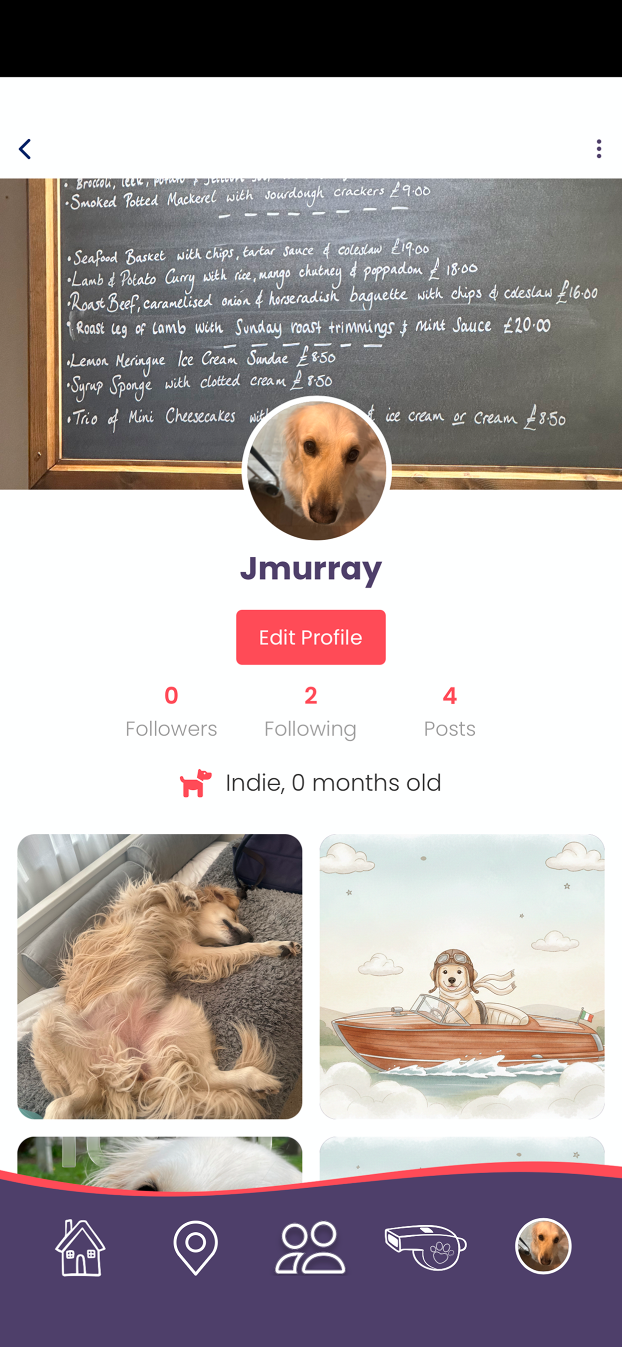 Pet Social Rewards screenshot 5