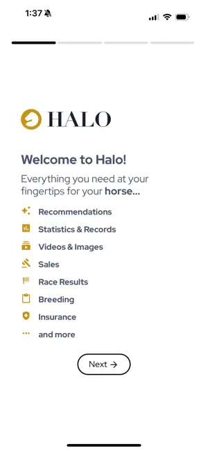 Hailey AI screenshot 1