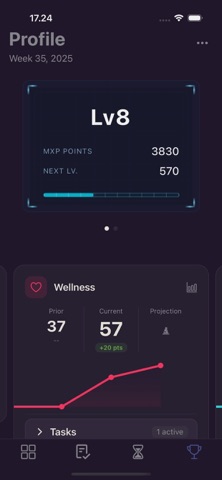 Maxer screenshot