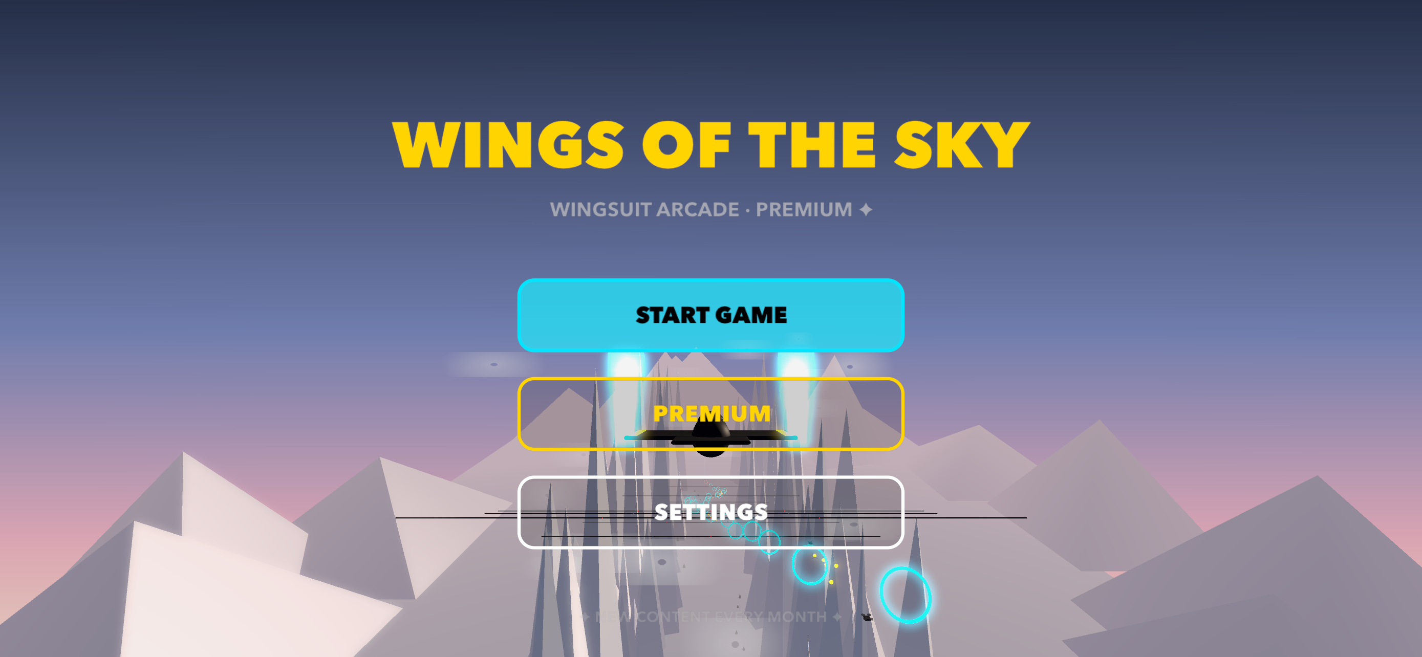 Wings Of The Sky Plane screenshot 2