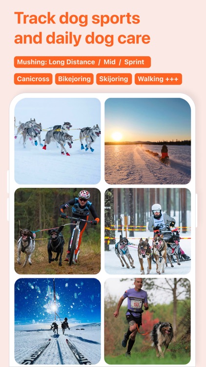 Qpaws: Track Dog Sports & Care