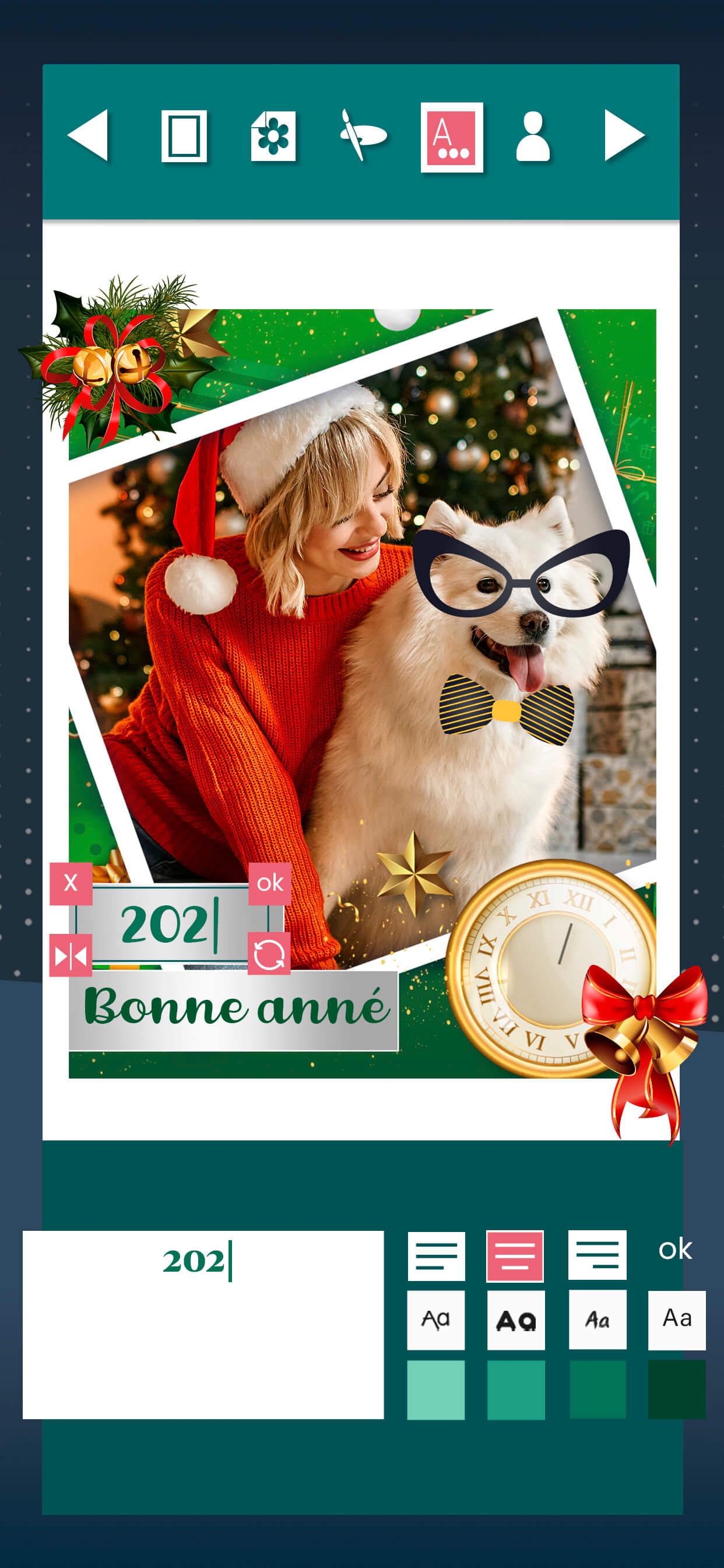 New Year wishes Greeting Cards