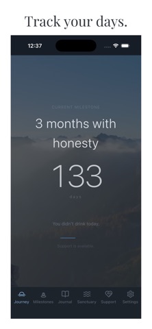 Quiet Sober screenshot