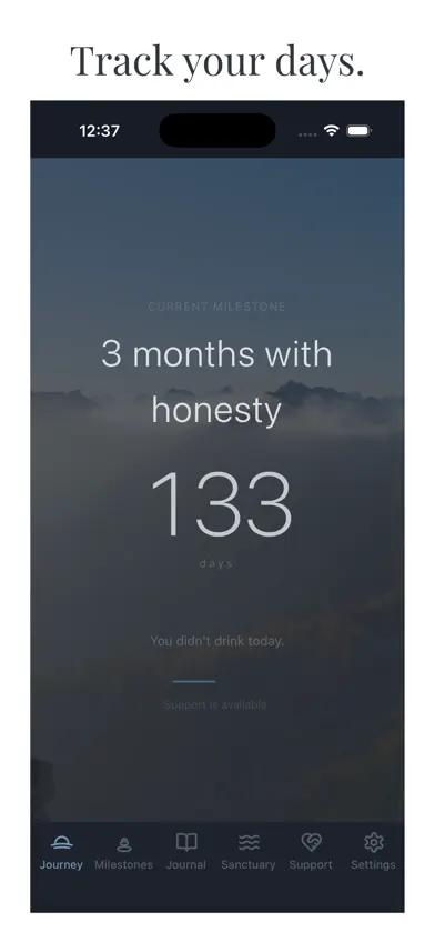 Quiet Sober screenshot 2