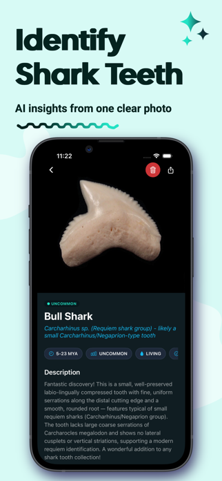 Shark Tooth Identifier Screenshot 1 of 4