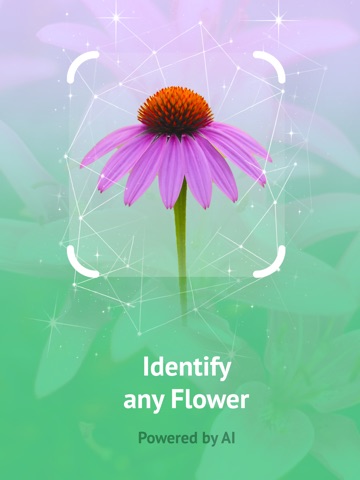 Wildflower identification iPad screenshot