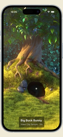 DiashowDL Screenshot 6 of 10