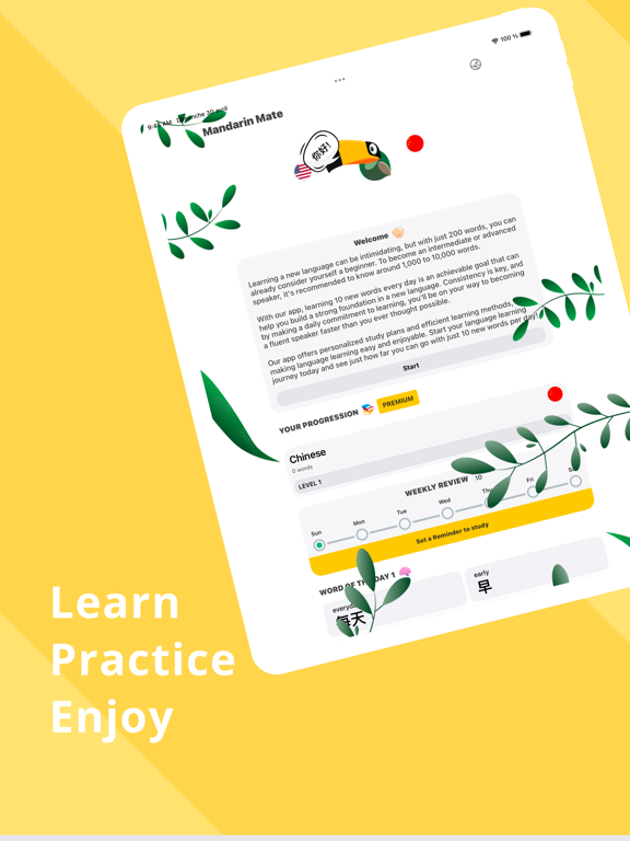 Flashcards - Learn Chinese iPad screenshot