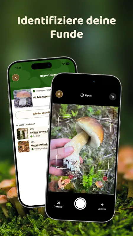 Mushroom Spot: pilzkarte screenshot 2 of 7
