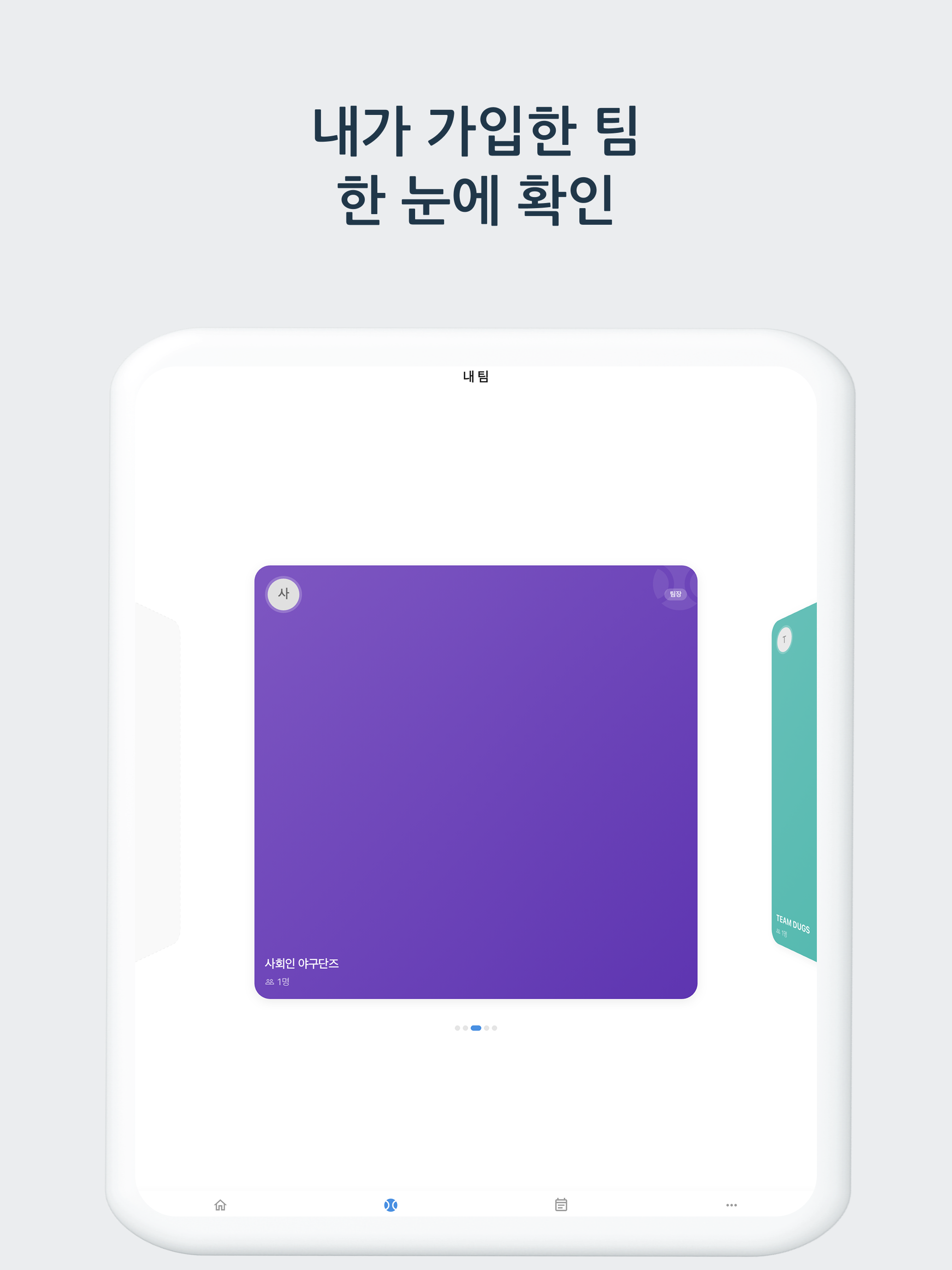 팀더그