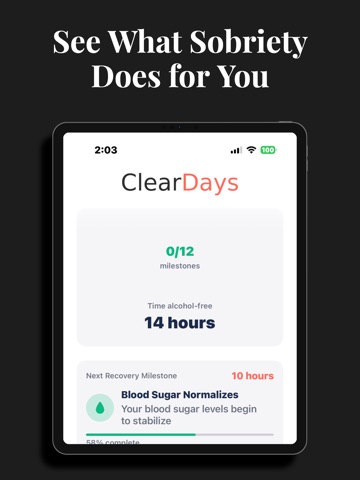 Clear Days : Sobriety Tracker iPad screenshot