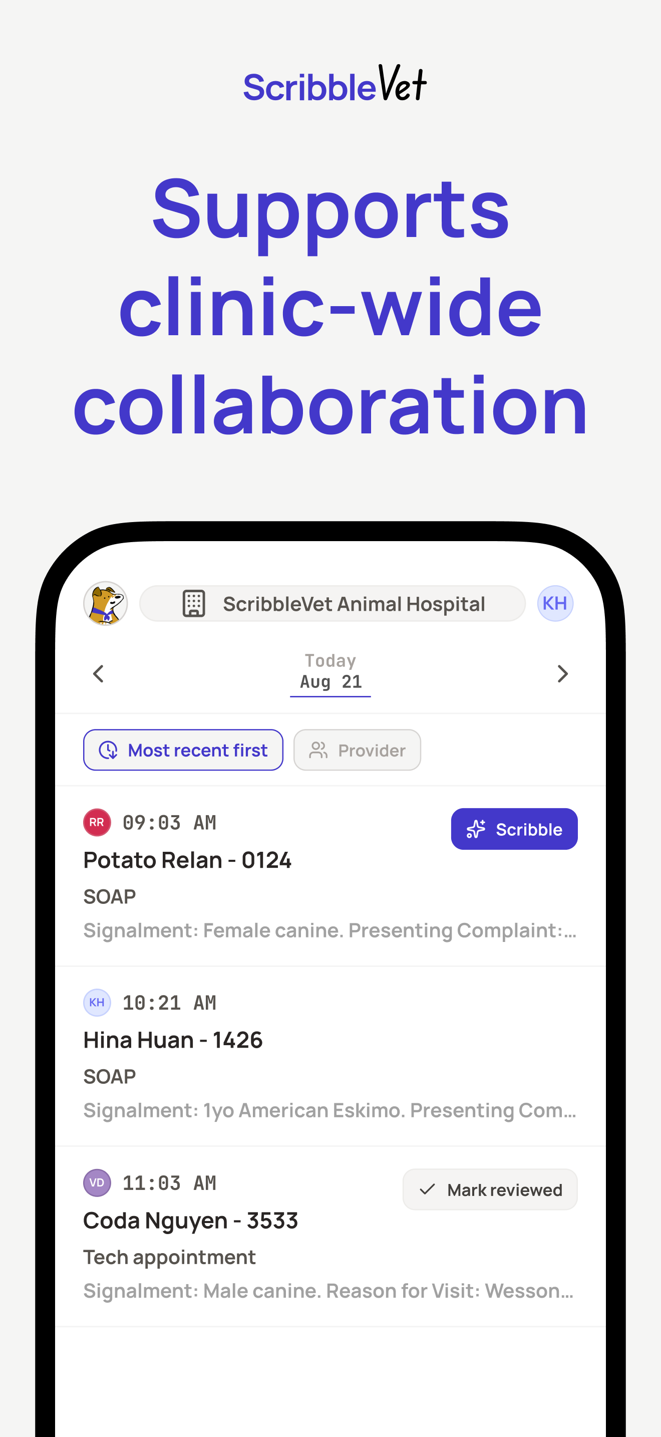ScribbleVet – the AI Scribe